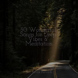 50 Wonderful Songs for Deep Vibes & Meditation - Anxiety Relief