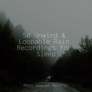 50 Unwind & Loopable Rain Recordings for Sleep - Music For Absolute Sleep