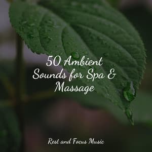 50 Ambient Sounds for Spa & Massage - Yoga Namaste