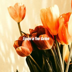 Escape in Your Garden - Office Work Music