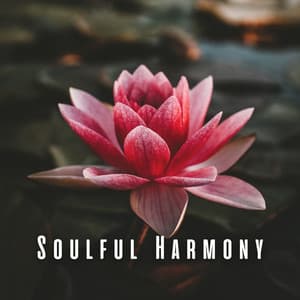 Soulful Harmony: Binaural Music and Meditation - Solfeggio Frequency Meditation