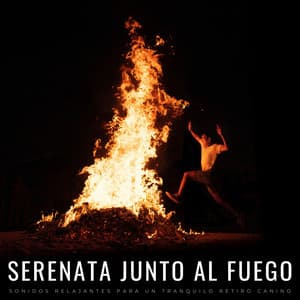 Serenata Junto Al Fuego: Sonidos Relajantes Para Un Tranquilo Retiro Canino - Tranquilidad Eterna