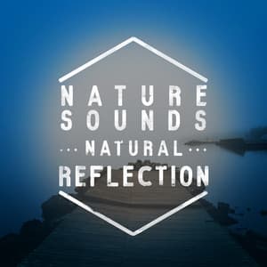 Nature Sounds: Natural Relaxation - Sounds Of Nature