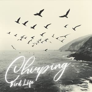 Hum of the Birds - Nature Recordings