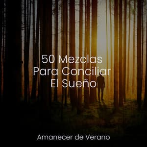 50 Mezclas Para Conciliar El Sueño - Canción de Cuna