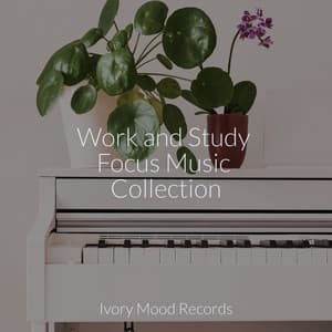 Work and Study Focus Music Collection - Ivory Mood