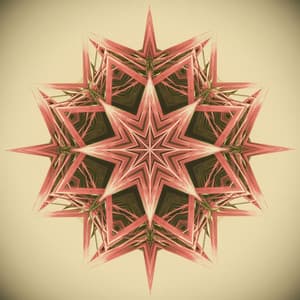 Release Inner Conflict & Struggle - Mighty Nature X