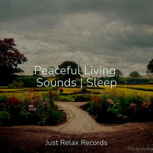 Peaceful Living Sounds | Sleep - Musica Romantica
