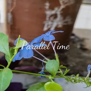 Parallel Time - Piano Mood 钢琴心情