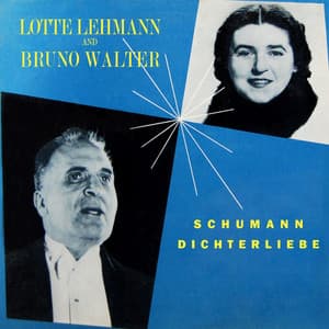 Schumann Dichterliebe - Robert Schumann