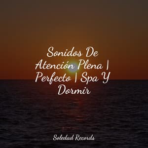 Sonidos De Atención Plena | Perfecto | Spa Y Dormir - Sueño Lucido