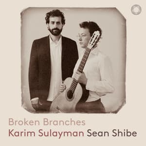 Broken Branches - Karim Sulayman