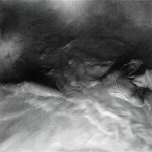 FLOWERS for VASES / descansos - Hayley Williams