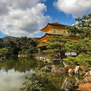 25 Songs With Nature: Sounds for Focus - Baltic Nature Sounds