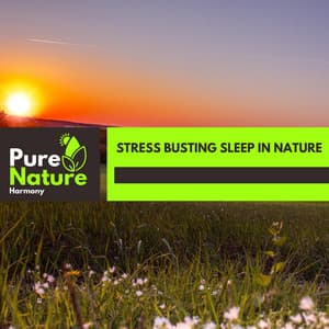Stress Busting Sleep in Nature - Nature Field Recordings