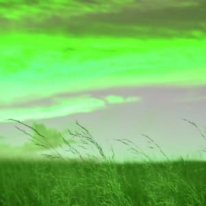 Music for Serious Sessions - Lofi Cafe