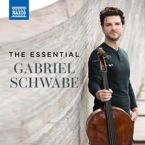 The Essential Gabriel Schwabe - Gabriel Schwabe