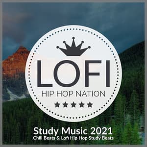 Study Music 2021 - Chill Beats & Lofi Hip Hop Study Beats - Lofi Hip Hop Nation