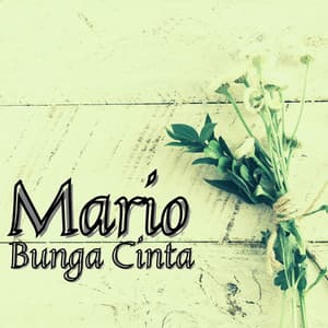 Bunga Cinta - Mario