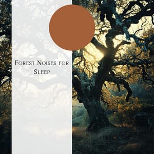 Forest Noises for Sleep - Natural Forest FX