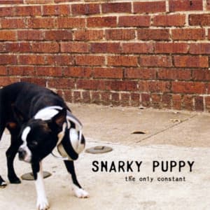 The Only Constant - Snarky Puppy