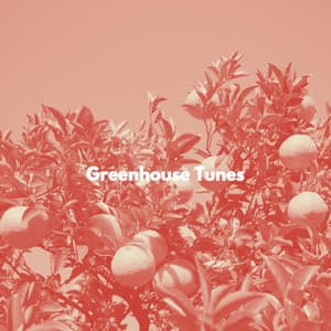 Greenhouse Tunes - Relaxing Restaurant Music Relaxation