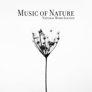 Music of Nature, Natural Word Sounds - Zen Natural Sounds