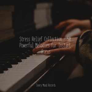 Stress Relief Collection - 50 Powerful Melodies for Instant Focus - Ivory Mood