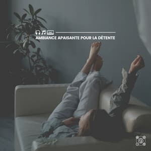 Ambiance Apaisante Pour La Détente - Zone de la Musique Relaxante