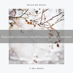 Sleep Under a Christmas Tree with Peaceful Sea Music and Carols - Ocean Makers