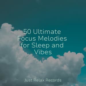 50 Ultimate Focus Melodies for Sleep and Vibes - Best Relaxing SPA Music