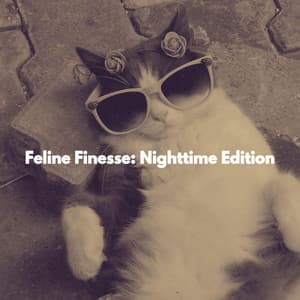 Feline Finesse: Nighttime Edition - Music for Cats Peace