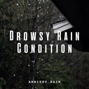 Ambient Rain: Drowsy Rain Condition - Hawaiian Explosion