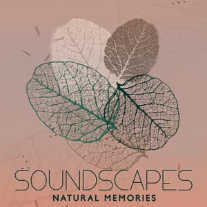 Soundscapes: Natural Memories - Healing Power Natural Sounds Oasis