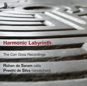 Harmonic Labyrinth - Rohan De Saram