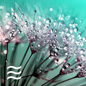 Deep Sleeping and Dreaming Noises for Babies Calm - Deep Sleep Noises