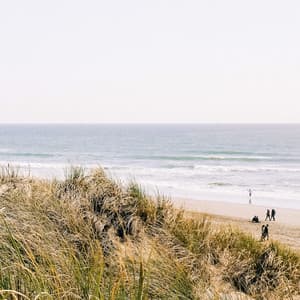 50 White Noise For Nightime: Restoration - White Noise for Babies