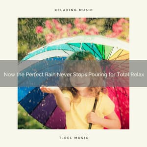 2020 Best: Now the Perfect Rain Never Stops Pouring for Total Relax - Sleep Rain