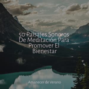 50 Paisajes Sonoros De Meditación Para Promover El Bienestar - Relaxing Mindfulness Meditation Relaxation Maestro