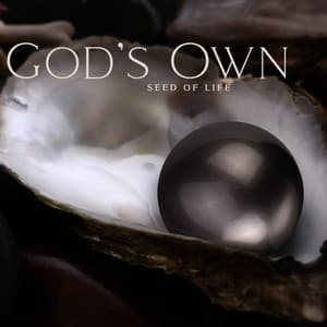 God’s Own: Seed of Life, Pineal Gland Activation - Chriss Aum