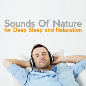 Sounds of Nature for Deep Sleep and Relaxation - Sounds of Nature for Deep Sleep and Relaxation
