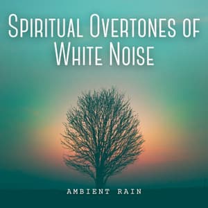 Ambient Rain: Spiritual Overtones of White Noise - Natural Woodland Sounds