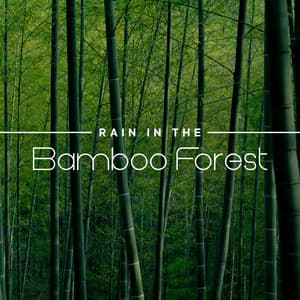 Rain in the Bamboo Forest: Japanese Tranquil Meditation, Zen Mindfulness, Asian Rain Sounds - Japanese Zen Shakuhachi