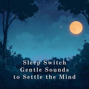 Sleep Switch - Gentle Sounds to Settle the Mind - Relaxing BGM Project