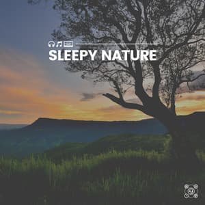 Nature That Soothes - Recording Nature