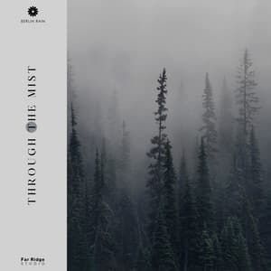 Through the Mist - Berlin Rain