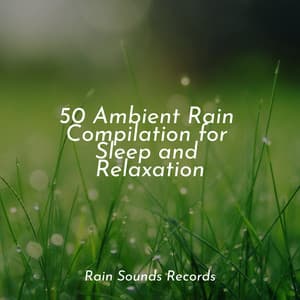 50 Ambient Rain Compilation for Sleep and Relaxation - Nature Sound Series