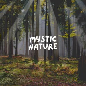 Mystic Nature - Florida Nature