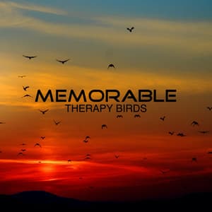 Therapy Birds - Memorable