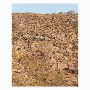 Palimpsests - Andrew Pekler